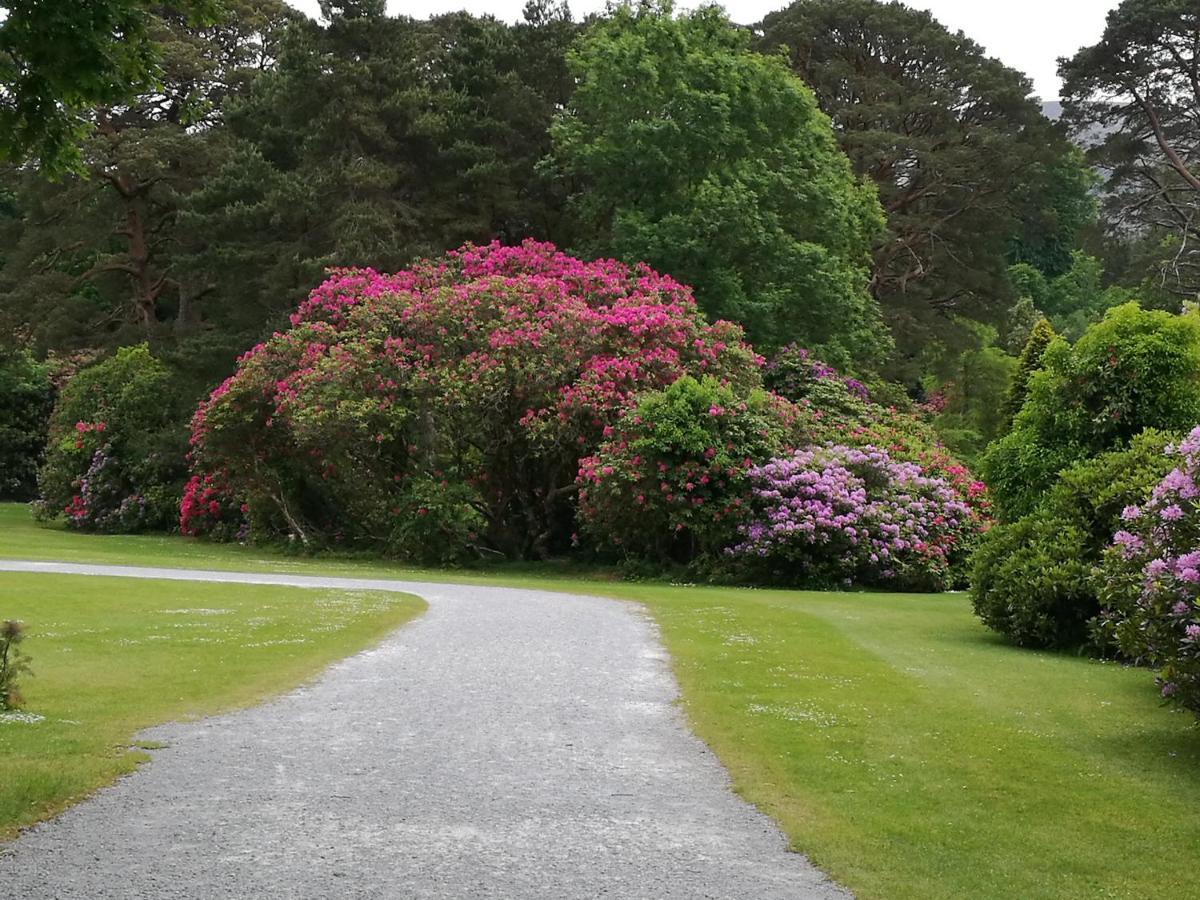 Watersedge Seaviews Hotell Kenmare Eksteriør bilde