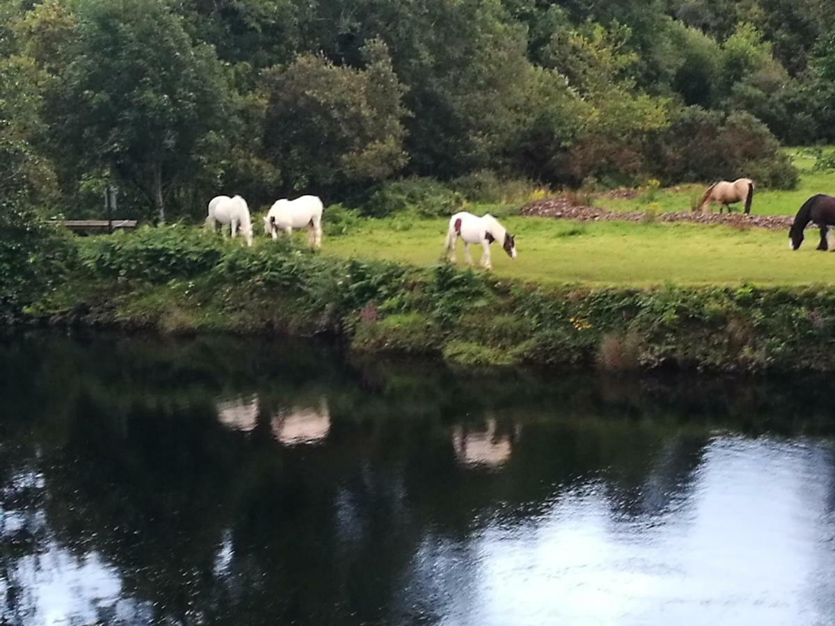Watersedge Seaviews Hotell Kenmare Eksteriør bilde